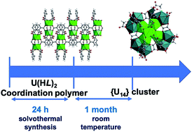 Graphical abstract: Time-controlled synthesis of the 3D coordination polymer U(1,2,3-Hbtc)2 followed by the formation of molecular poly-oxo cluster {U14} containing hemimellitate uranium(iv)