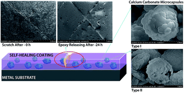 Graphical abstract: Synthesis of calcium carbonate microcapsules as self-healing containers