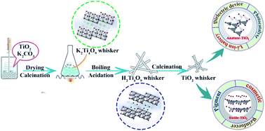Graphical abstract: Scalable synthesis of high-purity TiO2 whiskers via ion exchange method enables versatile applications