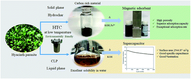 Graphical abstract: Green and sustainable zero-waste conversion of water hyacinth (Eichhornia crassipes) into superior magnetic carbon composite adsorbents and supercapacitor electrodes