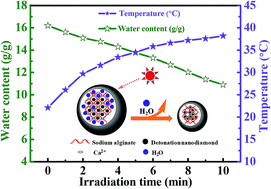 Graphical abstract: Fabrication of detonation nanodiamond@sodium alginate hydrogel beads and their performance in sunlight-triggered water release