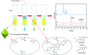 Graphical abstract: A restricted access molecularly imprinted polymer coating on metal–organic frameworks for solid-phase extraction of ofloxacin and enrofloxacin from bovine serum
