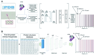 Graphical abstract: Machine learning model for fast prediction of the natural frequencies of protein molecules