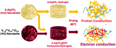 Graphical abstract: Thermal activation of charge carriers in ionic and electronic semiconductor β-AgIVVO3 and β-AgIVVO3@VV1.6VIV0.4O4.8 composite xerogels
