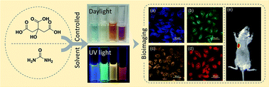 Graphical abstract: Solvent-controlled synthesis of multicolor photoluminescent carbon dots for bioimaging