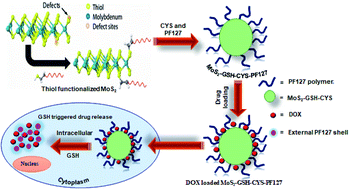Graphical abstract: Pluronic F127 self-assembled MoS2 nanocomposites as an effective glutathione responsive anticancer drug delivery system