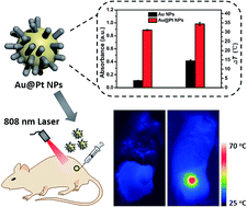 Graphical abstract: Ultrasound assisted one-step synthesis of Au@Pt dendritic nanoparticles with enhanced NIR absorption for photothermal cancer therapy