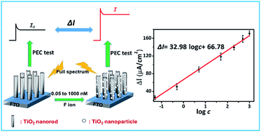 Graphical abstract: Photoelectrochemical detection of ultra-trace fluorine ion using TiO2 nanorod arrays as a probe
