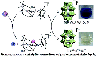 Graphical abstract: Homogeneous catalytic reduction of polyoxometalate by hydrogen gas with a hydrogenase model complex