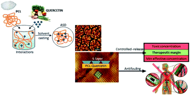 Graphical abstract: Novel biodegradable and non-fouling systems for controlled-release based on poly(ε-caprolactone)/Quercetin blends and biomimetic bacterial S-layer coatings
