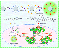 Graphical abstract: Novel vinyl-modified RGD conjugated silica nanoparticles based on photo click chemistry for in vivo prostate cancer targeted fluorescence imaging