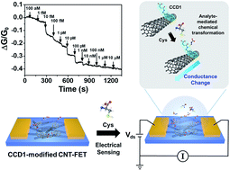 Graphical abstract: A chemodosimeter-modified carbon nanotube-field effect transistor: toward a highly selective and sensitive electrical sensing platform