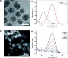 Graphical abstract: Synthesis of silver particles stabilized by a bifunctional SiHx–NHy–PMHS oligomer as recyclable nanocatalysts for the catalytic reduction of 4-nitrophenol