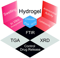 Graphical abstract: In vitro study of chitosan-based multi-responsive hydrogels as drug release vehicles: a preclinical study