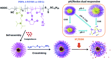 Graphical abstract: Synthesis of crosslinkable diblock terpolymers PDPA-b-P(NMS-co-OEG) and preparation of shell-crosslinked pH/redox-dual responsive micelles as smart nanomaterials