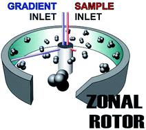 Graphical abstract: Zonal rotor centrifugation revisited: new horizons in sorting nanoparticles