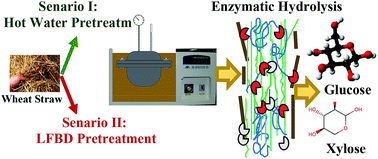 Graphical abstract: Sustainable and efficient sugar production from wheat straw by pretreatment with biogas digestate