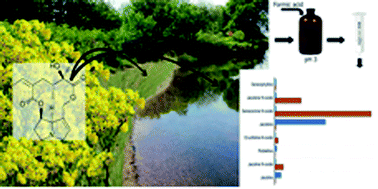 Graphical abstract: Pyrrolizidine alkaloids quantified in soil and water using UPLC-MS/MS