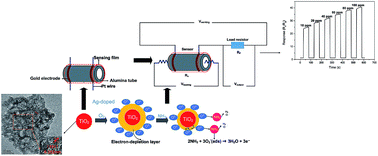 Graphical abstract: A room temperature operated ammonia gas sensor based on Ag-decorated TiO2 quantum dot clusters