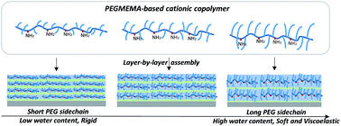 Graphical abstract: PPEGMEMA-based cationic copolymers designed for layer-by-layer assembly