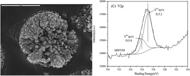 Graphical abstract: Synthesis of V-modified TiO2 nanorod-aggregates by a facile microwave-assisted hydrothermal process and photocatalytic degradation towards PCP-Na under solar light
