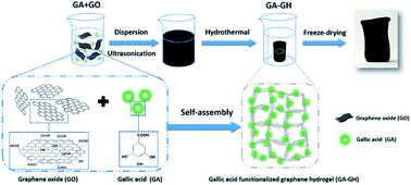 Graphical abstract: Gallic acid-functionalized graphene hydrogel as adsorbent for removal of chromium (iii) and organic dye pollutants from tannery wastewater