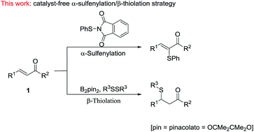Graphical abstract: Catalyst-free chemoselective α-sulfenylation/β-thiolation for α,β-unsaturated carbonyl compounds