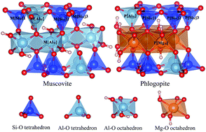 Graphical abstract: Vanadium occupation and its leachability differences in trioctahedral and dioctahedral mica