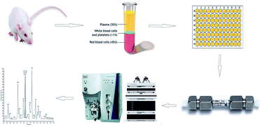 Graphical abstract: A high-throughput bioanalytical assay to support pharmacokinetic interaction study of oxycodone and diazepam in Sprague Dawley rats