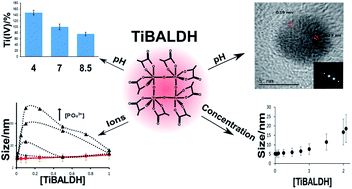 Graphical abstract: TiBALDH as a precursor for biomimetic TiO2 synthesis: stability aspects in aqueous media