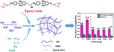 Graphical abstract: Preparation and characterization of a soy protein based bio-adhesive crosslinked by waterborne epoxy resin and polyacrylamide