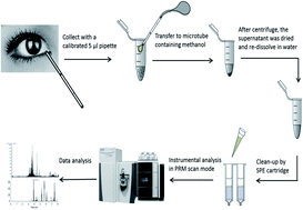 Graphical abstract: Analysis of amino acids in human tears by hydrophilic interaction liquid chromatography and quadrupole orbitrap mass spectrometry