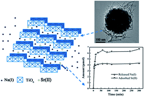Graphical abstract: Synthesis of core–shell magnetic titanate nanofibers composite for the efficient removal of Sr(ii)