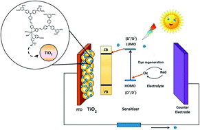 Graphical abstract: The molecular engineering, synthesis and photovoltaic studies of a novel highly efficient Ru(ii) complex incorporating a bulky TPA ancillary ligand for DSSCs: donor versus π-spacer effects