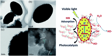 Graphical abstract: TiO2 nanocrystals with the {001} and {101} facets co-exposed with MIL-100(Fe): an egg-like composite nanomaterial for efficient visible light-driven photocatalysis