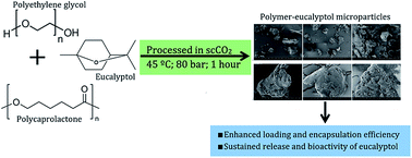 Graphical abstract: Microencapsulation of eucalyptol in polyethylene glycol and polycaprolactone using particles from gas-saturated solutions