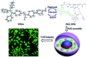 Graphical abstract: A novel AIE-active dye for fluorescent nanoparticles by one-pot combination of Hantzsch reaction and RAFT polymerization: synthesis, molecular structure and application in cell imaging