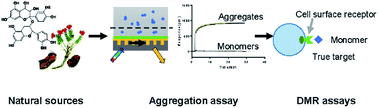 Graphical abstract: Resonant waveguide grating based assays for colloidal aggregate detection and promiscuity characterization in natural products