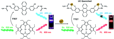 Graphical abstract: A stimuli responsive triplet–triplet annihilation upconversion system and its application as a ratiometric sensor for Fe3+ ions