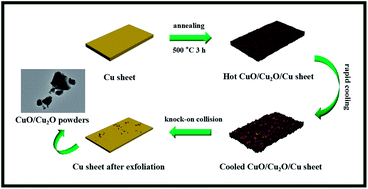 Graphical abstract: Facile thermal exfoliation of Cu sheets towards the CuO/Cu2O heterojunction: a cost-effective photocatalyst with visible-light response for promising sustainable applications