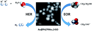 Graphical abstract: A one-pot route for the synthesis of Au@Pd/PMo12/rGO as a dual functional electrocatalyst for ethanol electro-oxidation and hydrogen evolution reaction