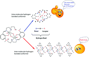 Graphical abstract: Stabilization of two conformers via intra- or inter-molecular hydrogen bonds in a dinuclear vanadium(v) complex with a pendant Schiff base: theoretical insight