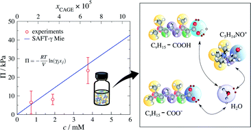 Graphical abstract: Modelling and prediction of the thermophysical properties of aqueous mixtures of choline geranate and geranic acid (CAGE) using SAFT-γ Mie