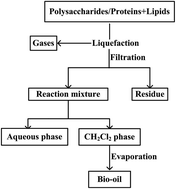 Graphical abstract: The role of polysaccharides and proteins in bio-oil production during the hydrothermal liquefaction of algae species