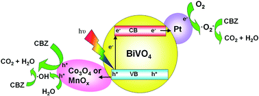 Graphical abstract: Synergetic effect of dual co-catalysts on the activity of BiVO4 for photocatalytic carbamazepine degradation