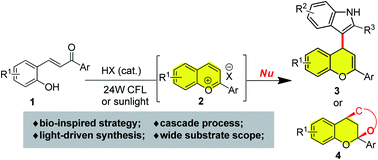 Graphical abstract: A bio-inspired synthesis of hybrid flavonoids from 2-hydroxychalcone driven by visible light