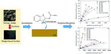 Graphical abstract: Adsorption–desorption behavior of carbendazim by sewage sludge-derived biochar and its possible mechanism