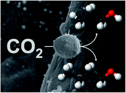 Graphical abstract: CO2 reduction using paper-derived carbon electrodes modified with copper nanoparticles