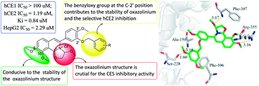 Graphical abstract: Discovery of dihydrooxazolo[2,3-a]isoquinoliniums as highly specific inhibitors of hCE2