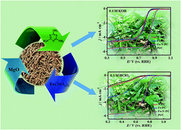 Graphical abstract: Soybean straw biomass-derived Fe–N co-doped porous carbon as an efficient electrocatalyst for oxygen reduction in both alkaline and acidic media